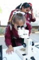 /album/fotogaleria/a754156e468b5b1c8d25b83ce5a63fe2c-tianguisraul3-jpg/